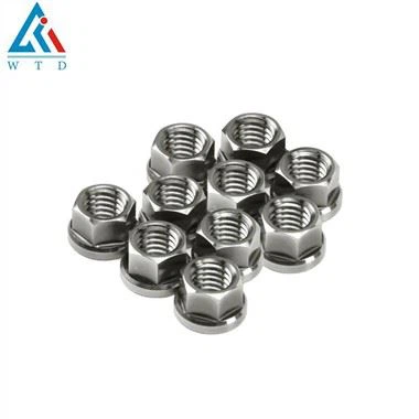 Παξιμάδια φλάντζας τιτανίου