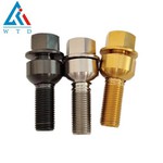 M14 Μπουλόνια ωτίου τιτανίου για Porsche